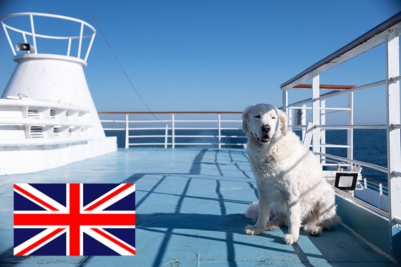Hond ferry Engeland