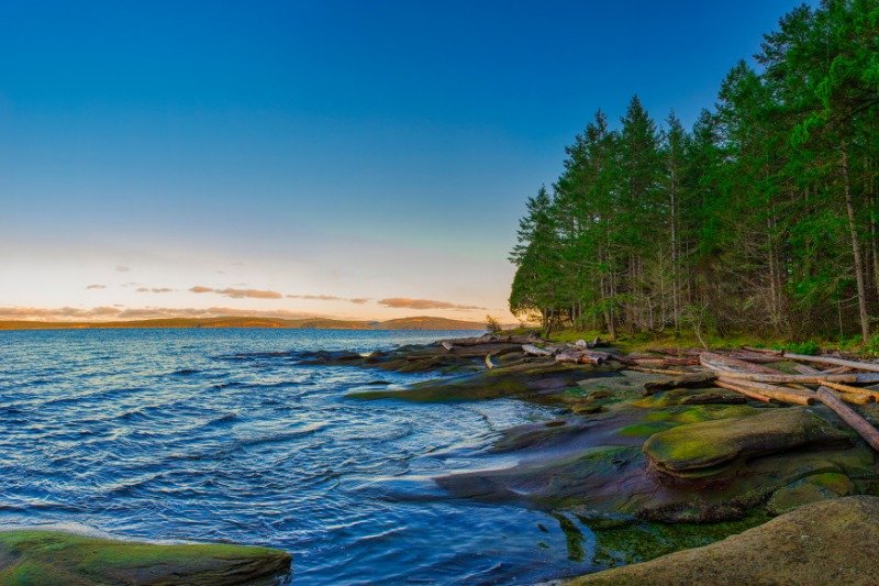 Jack Point and Biggs Park near Duke Point