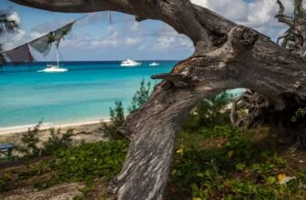 Bimini-Beach-Bahamas