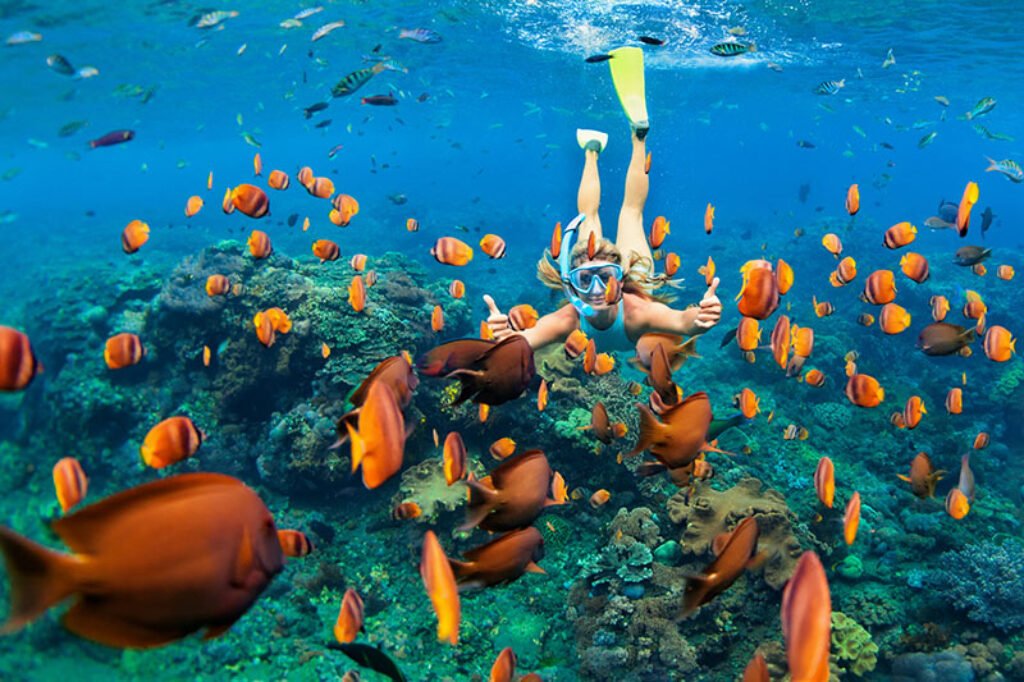 Snorkeling Caribbean