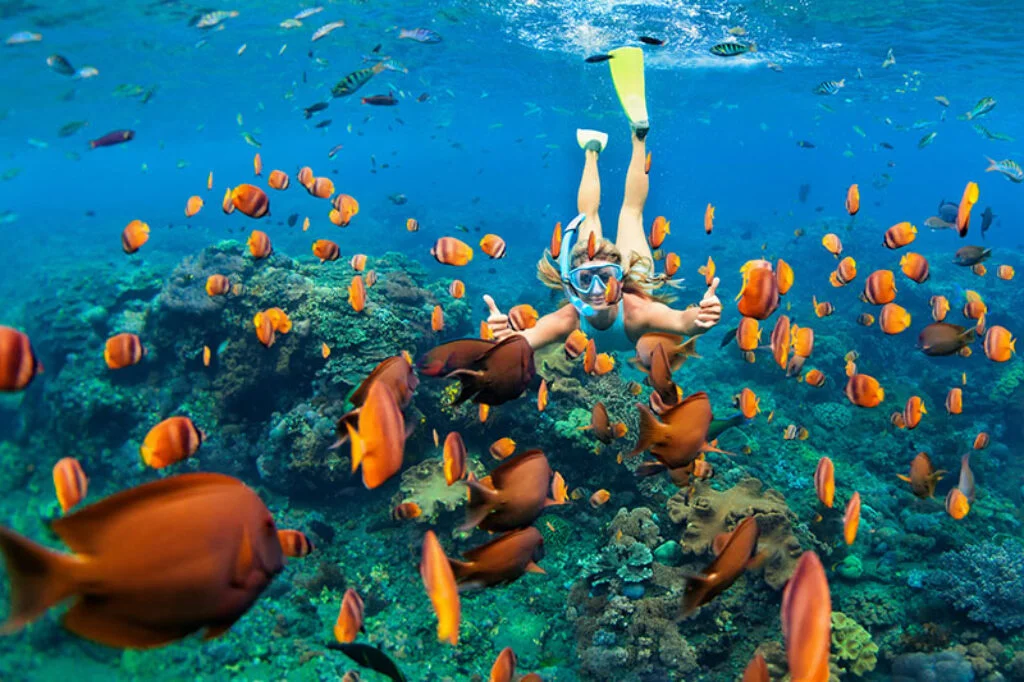 Snorkeling Caribbean