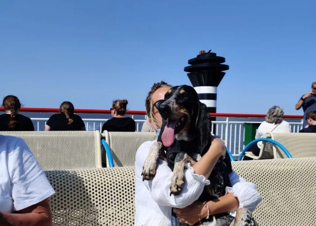 Travelling with a dog on the ferry