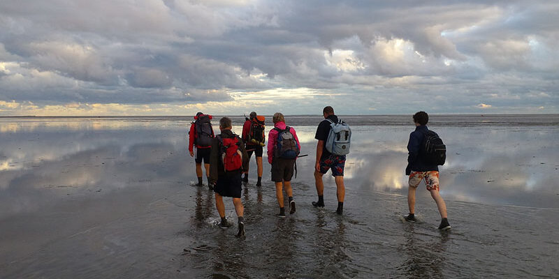Walk to an island: mudflat hiking